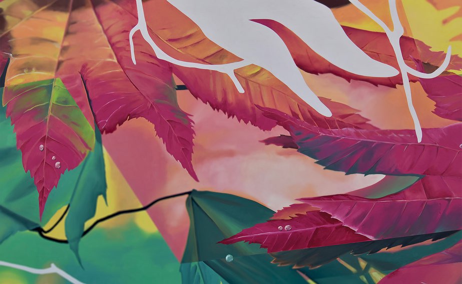 Fabio Petani @ Vigliano Biellese, Italy