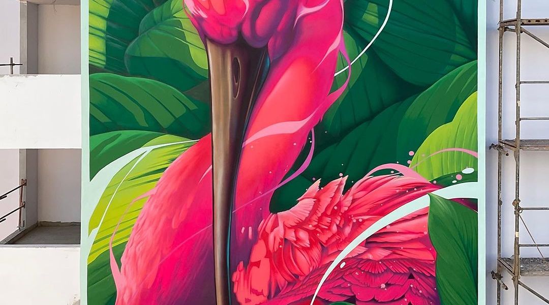 Kalouf @ French Guiana