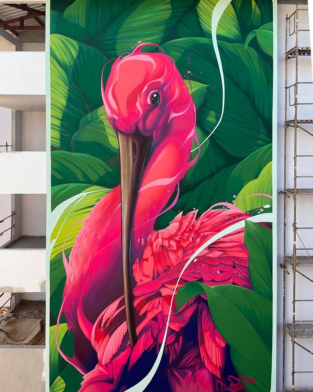 Kalouf @ French Guiana