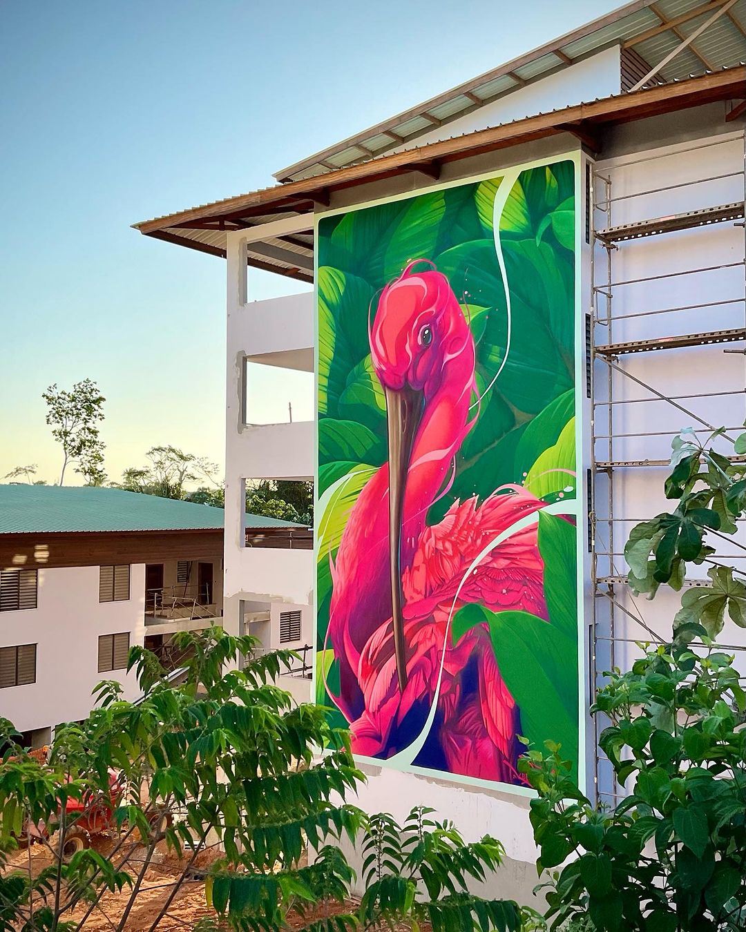 Kalouf @ French Guiana