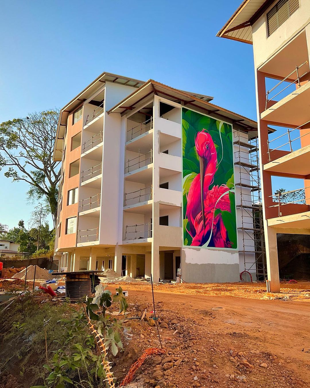 Kalouf @ French Guiana