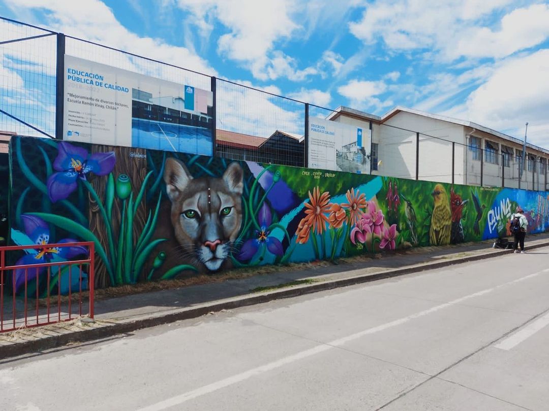 La Loica @ Chillan, Chile