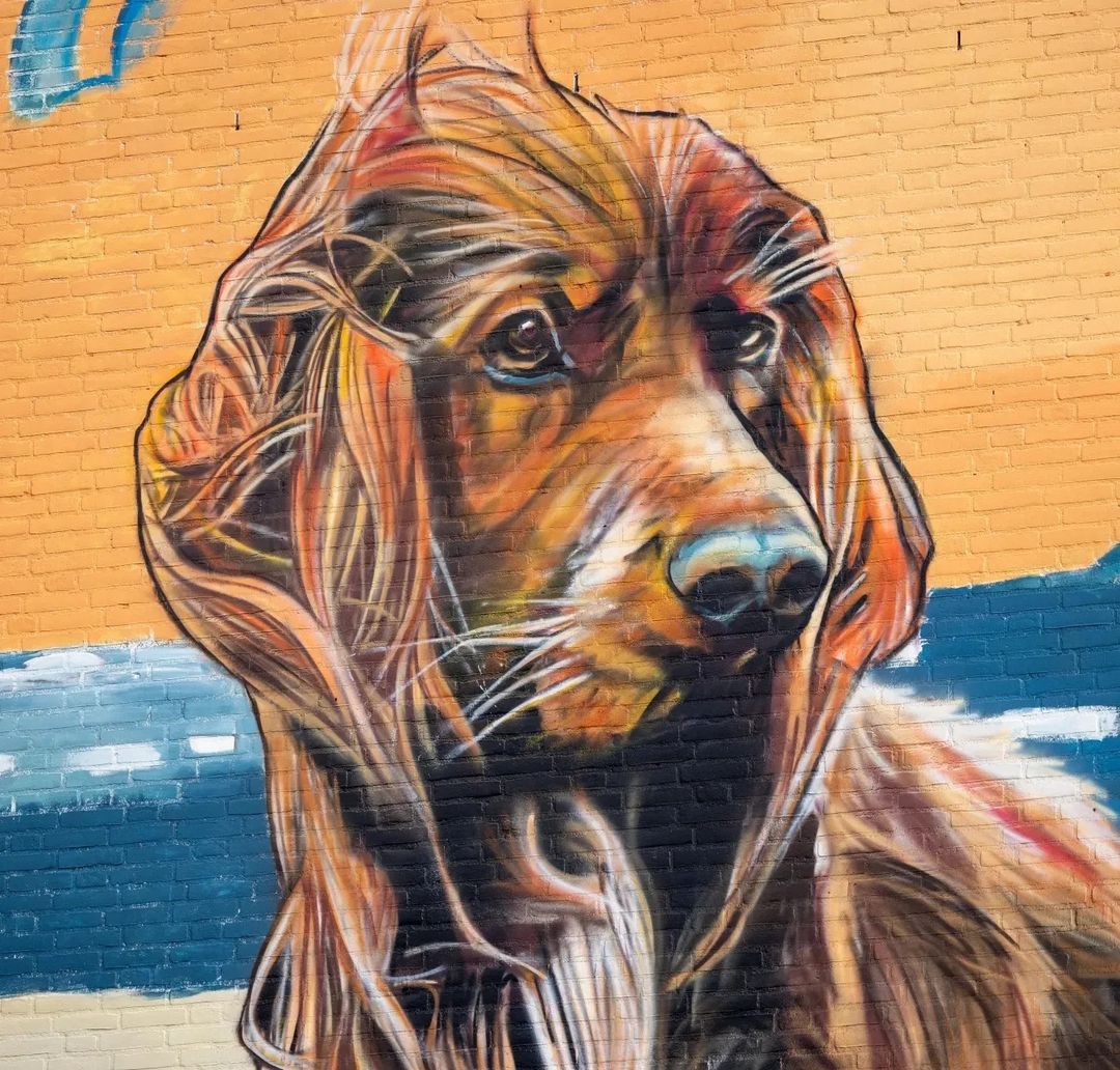 Lily Brick @ Lelystad, Netherlands