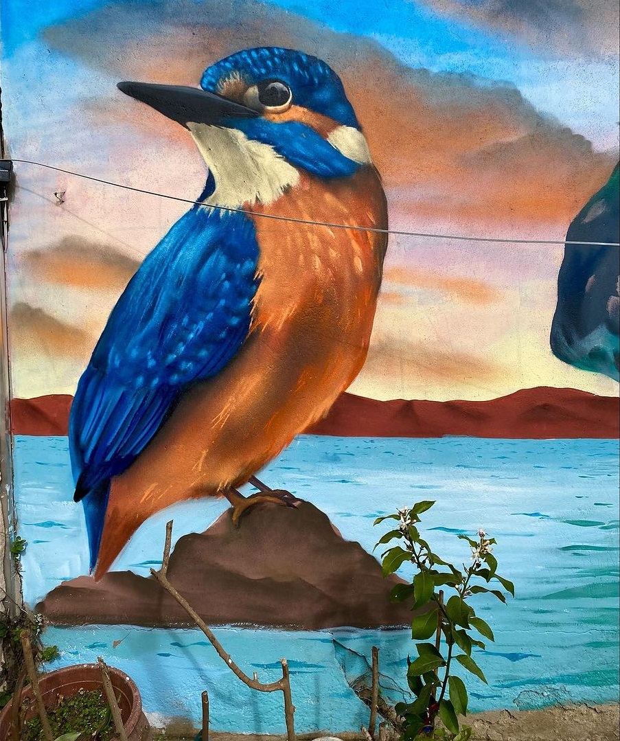 Martin Bartrolí @ Viña del Mar, Chile