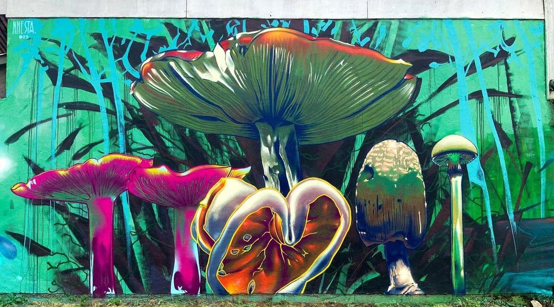 NHESTA @ Chillán, Chile