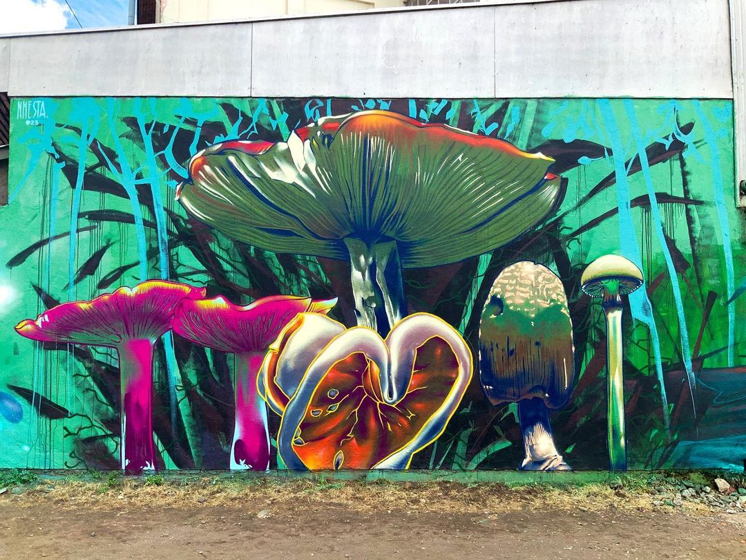 NHESTA @ Chillán, Chile