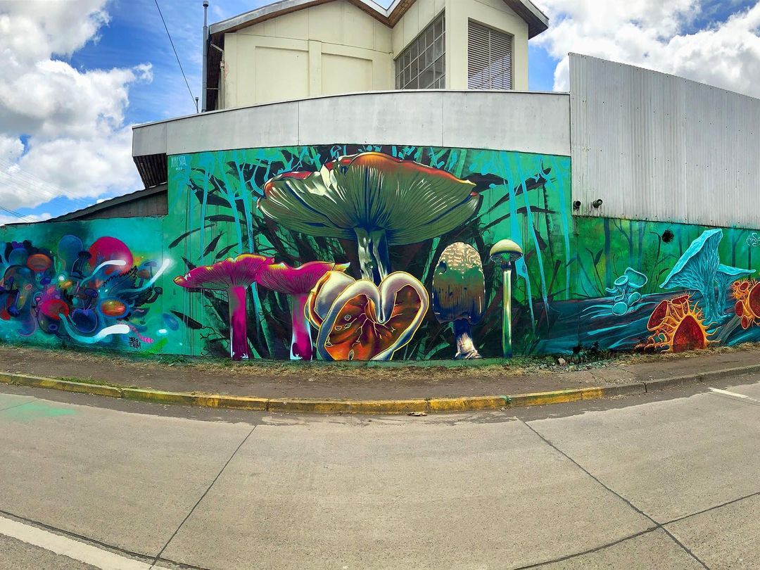 NHESTA @ Chillán, Chile