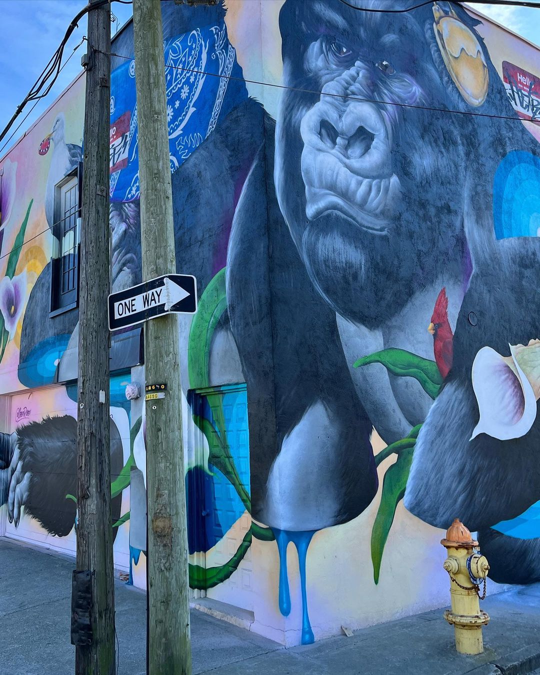 Ruben Ubiera @ Atlantic City, New Jersey, USA