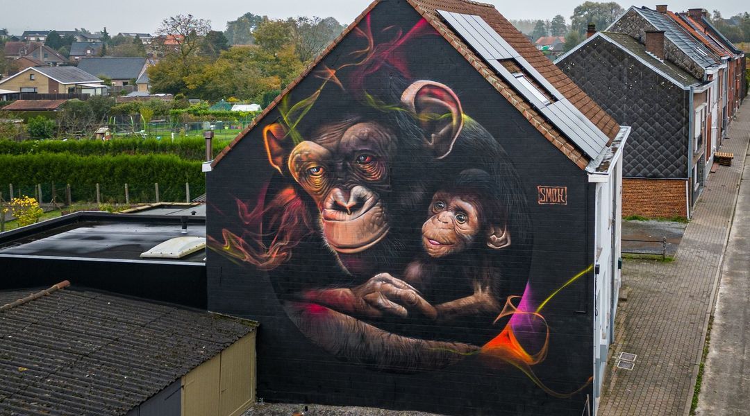 Smok @ Ronse, Belgium