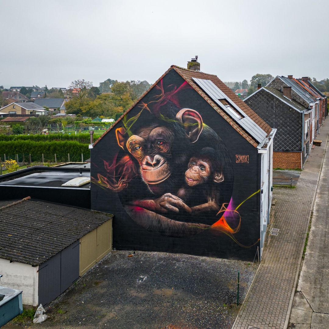Smok @ Ronse, Belgium