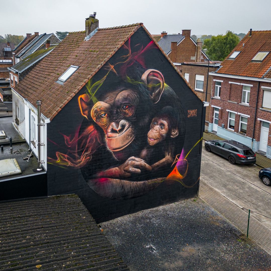 Smok @ Ronse, Belgium