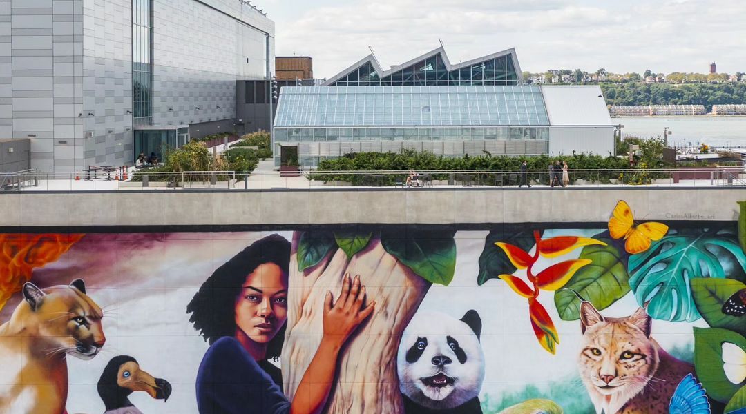 Carlosalberto GH @ New York, USA