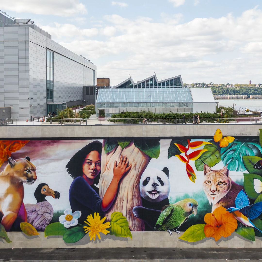 Carlosalberto GH @ New York, USA