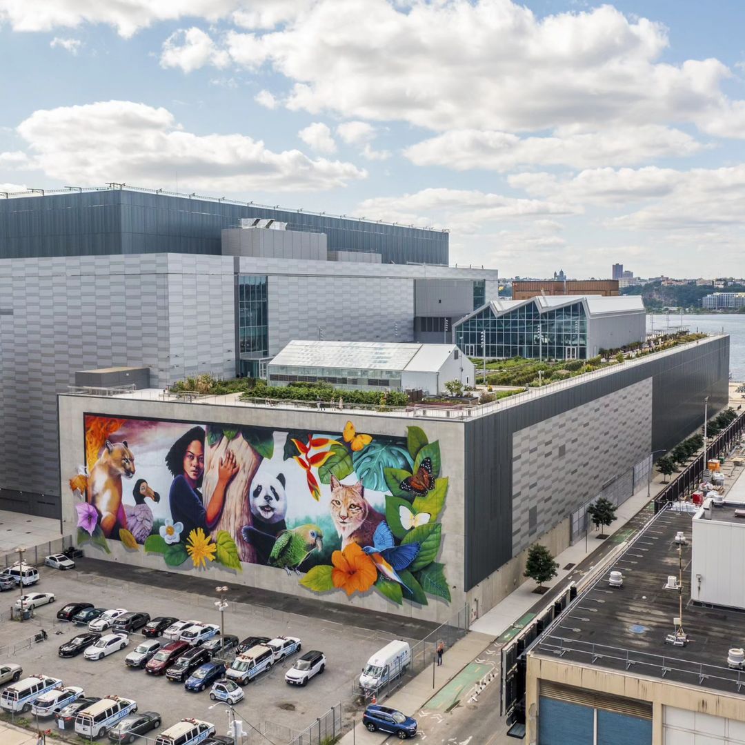 Carlosalberto GH @ New York, USA