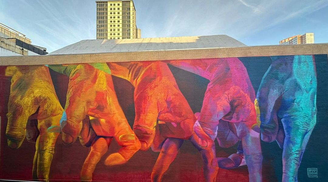 Case Maclaim @ New Rochelle, New York, USA