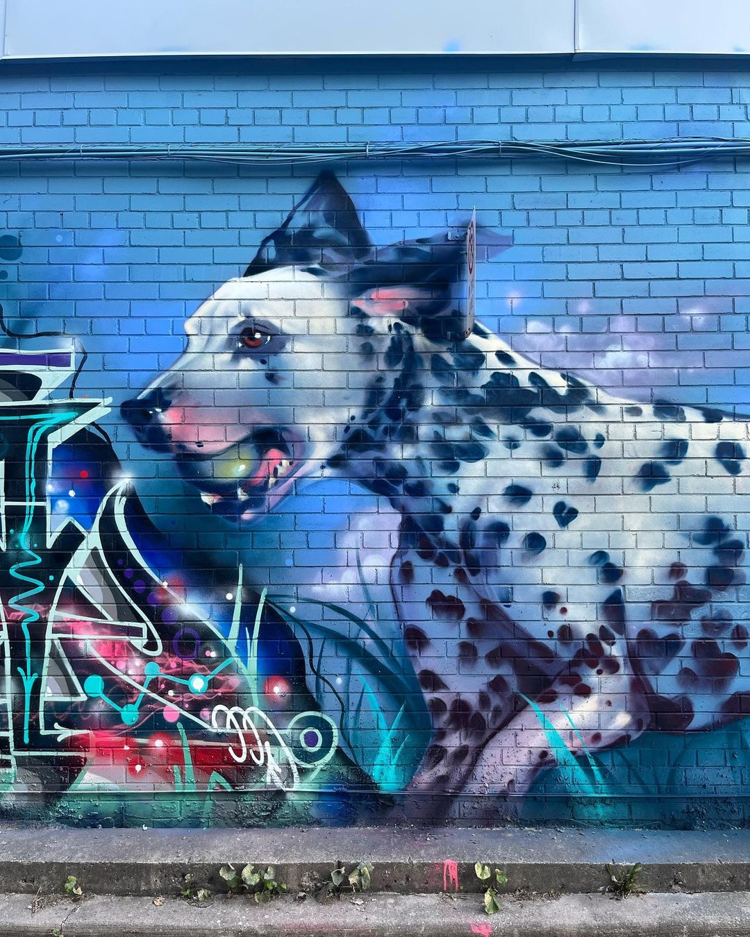 Christina Mazzulla @ Toronto, Canada