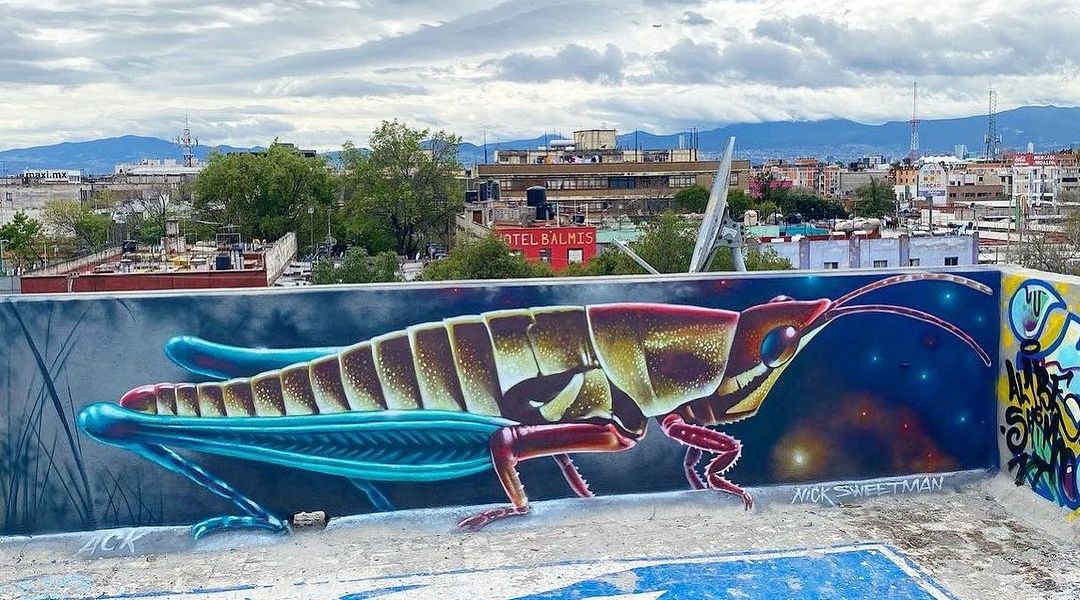 Nick Sweetman @ Mexico City, Mexico