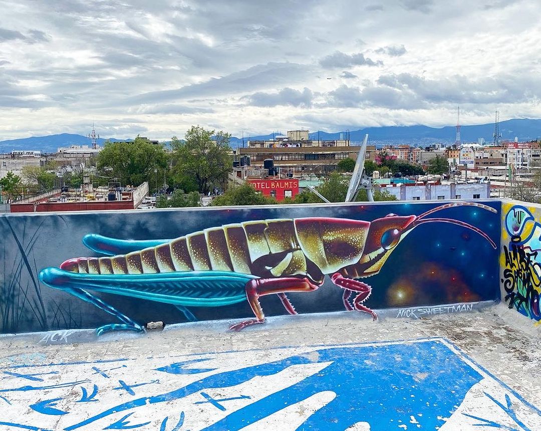 Nick Sweetman @ Mexico City, Mexico