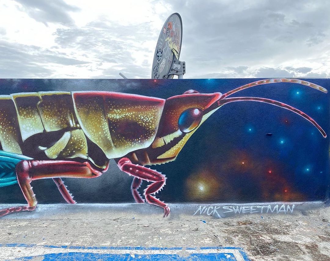 Nick Sweetman @ Mexico City, Mexico