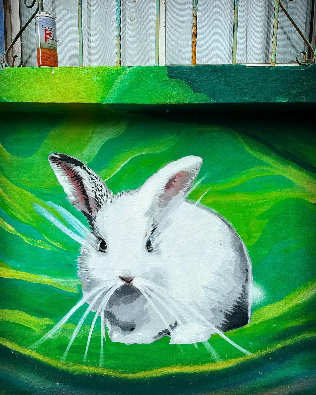 Niz + Barbara Siebenlist Palomar @ Cancun, Mexico