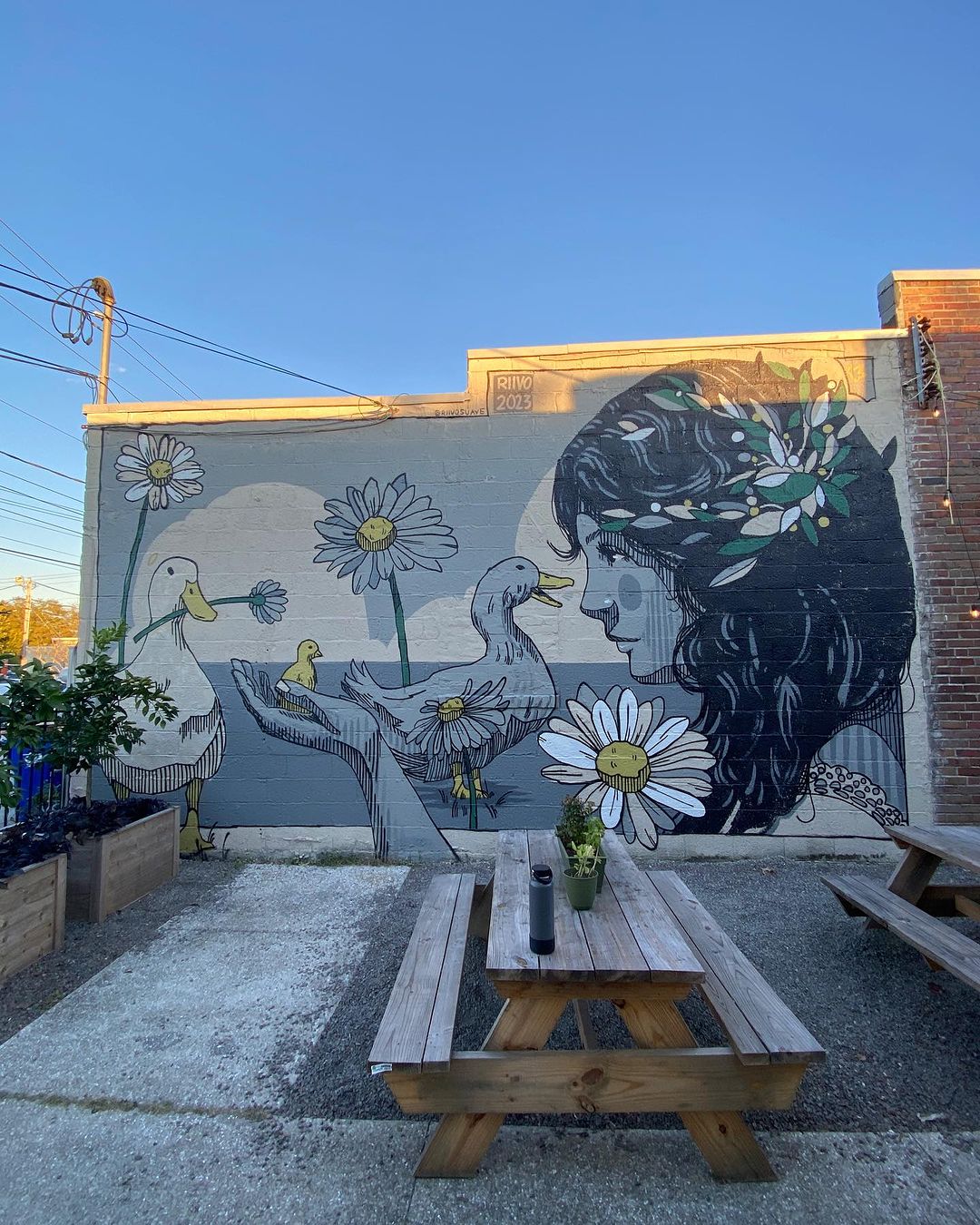 Riivo Kruuk @ North Charleston, South Carolina, USA