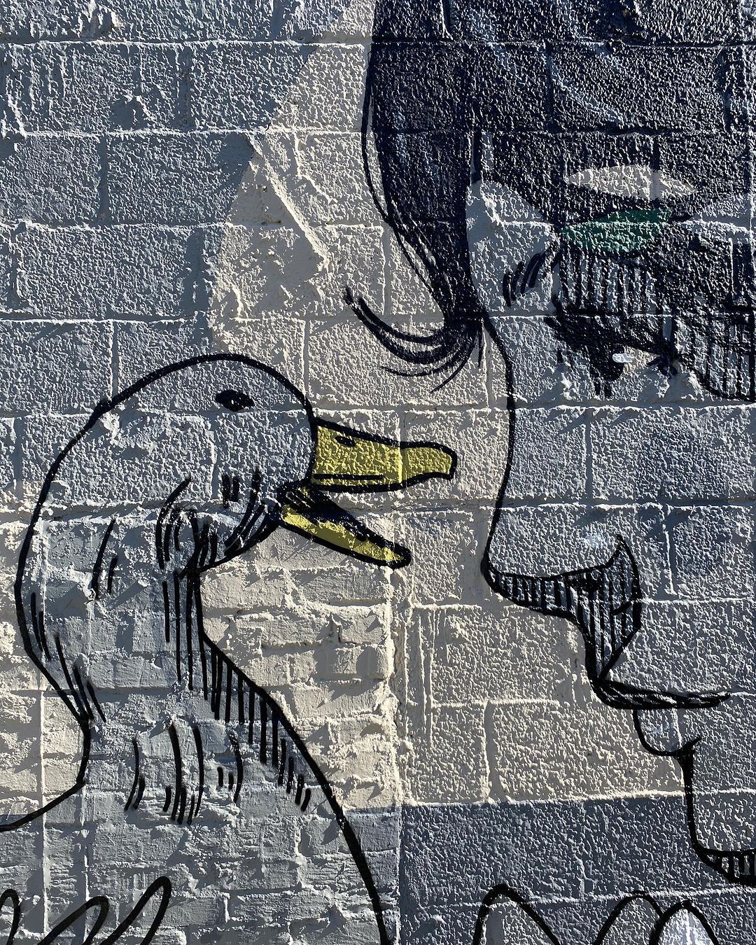 Riivo Kruuk @ North Charleston, South Carolina, USA