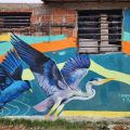 TOZCANO ART @ Cartago, Colombia