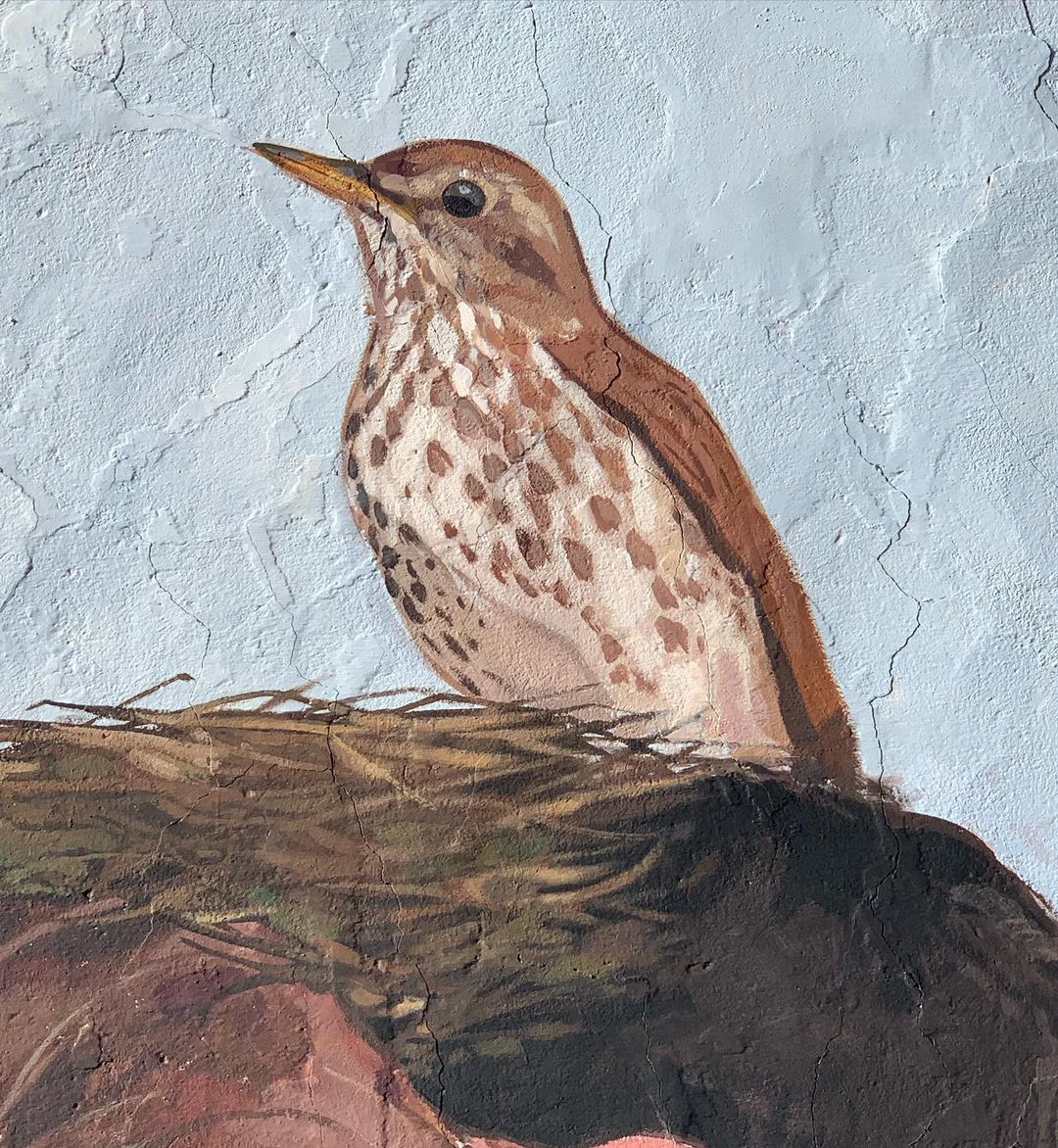 Agrume @ Eugénie-Les-Bains, France