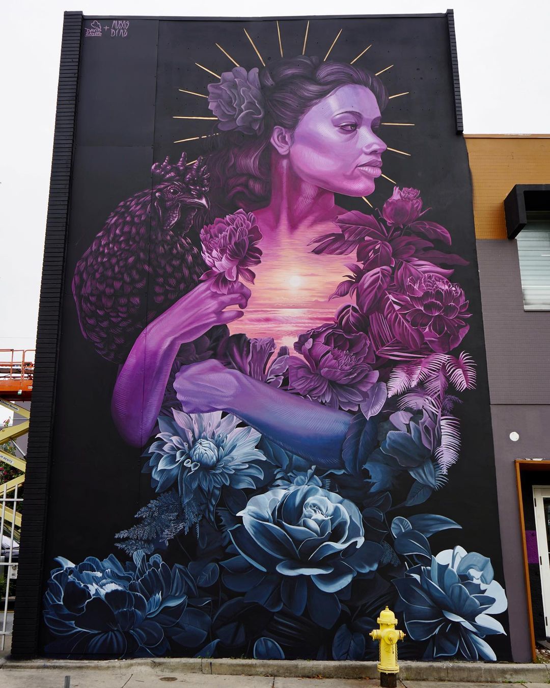 Alexis Diaz + David Zayas @ Miami, Florida, USA