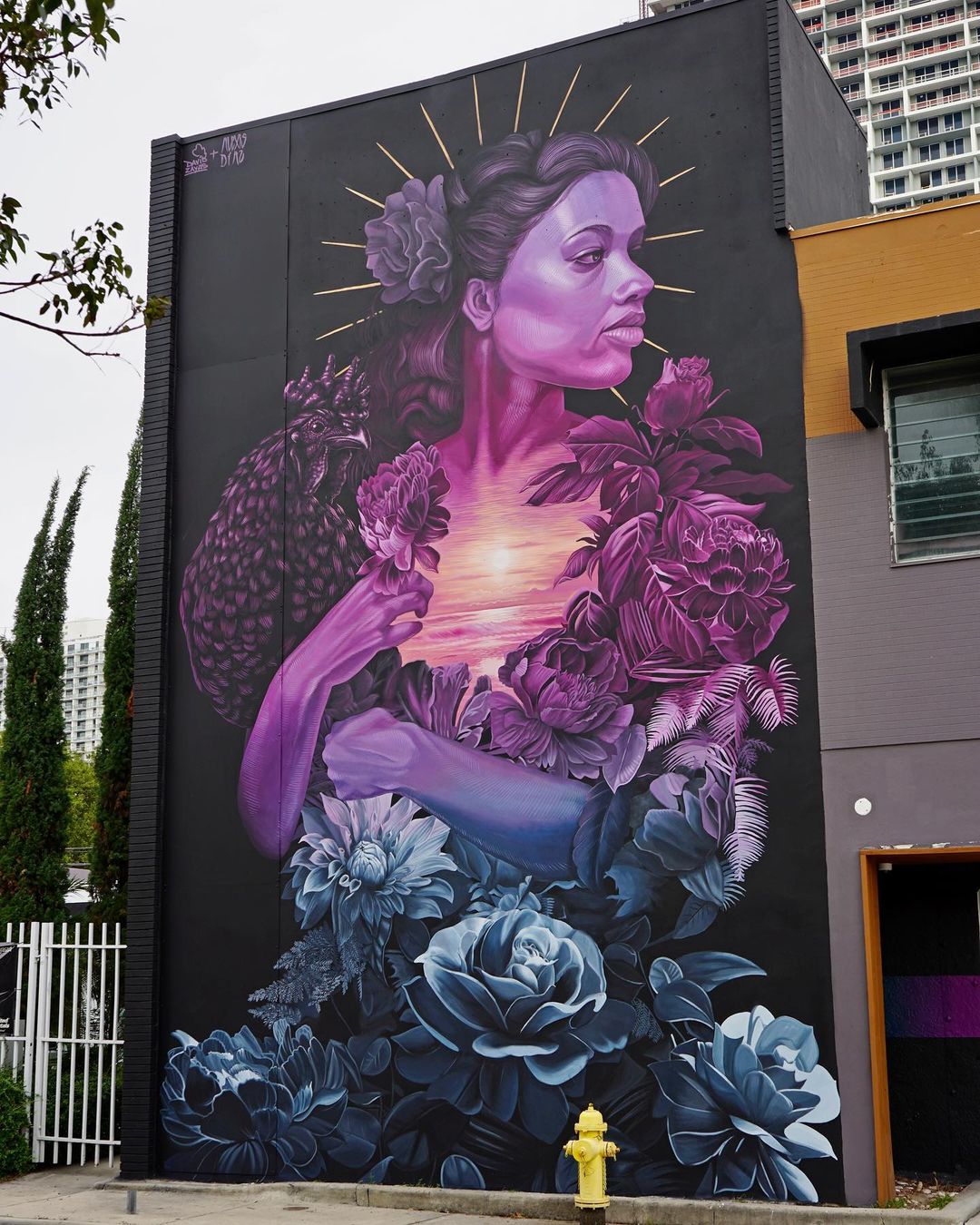 Alexis Diaz + David Zayas @ Miami, Florida, USA