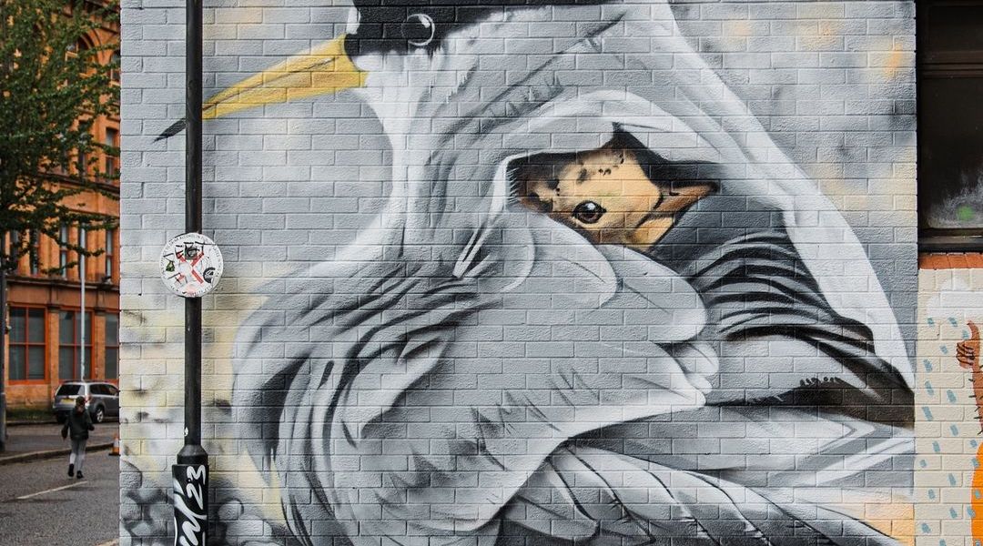 Andrii Palval @ Belfast, Northern Ireland, UK