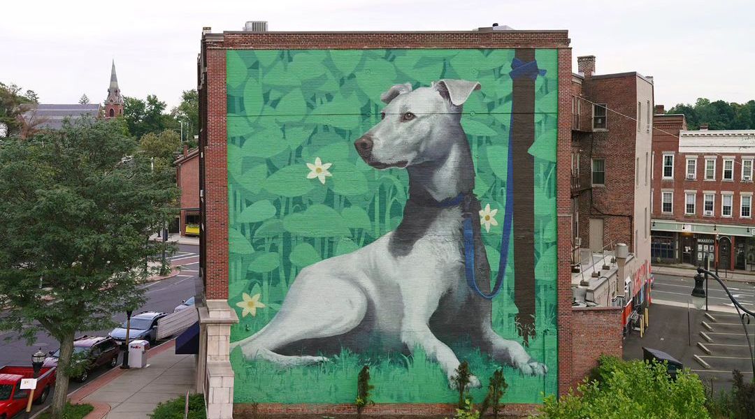 Bezt @ Chicopee, Massachusetts, USA