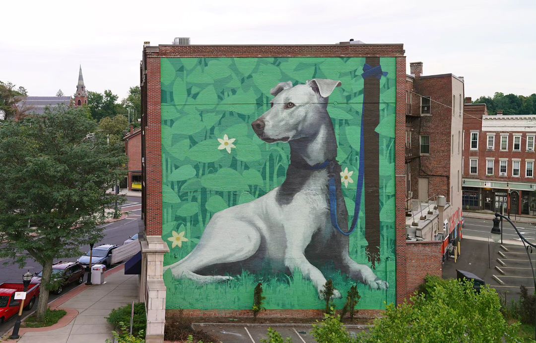 Bezt @ Chicopee, Massachusetts, USA