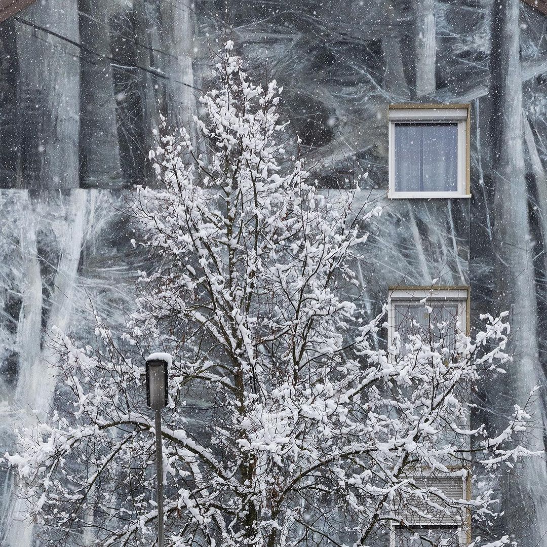 Fran Bosoletti @ Ingolstadt, Germany