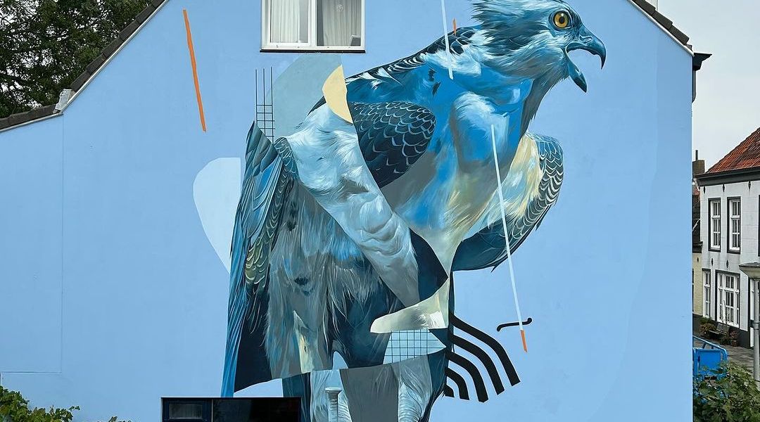 Joram Roukes @ Vlissingen, Netherlands