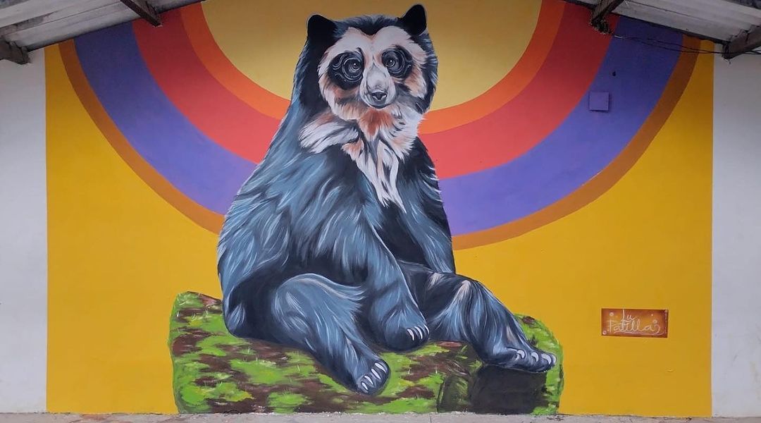 Lu Patiño @ El Salado, Tolima, Colombia