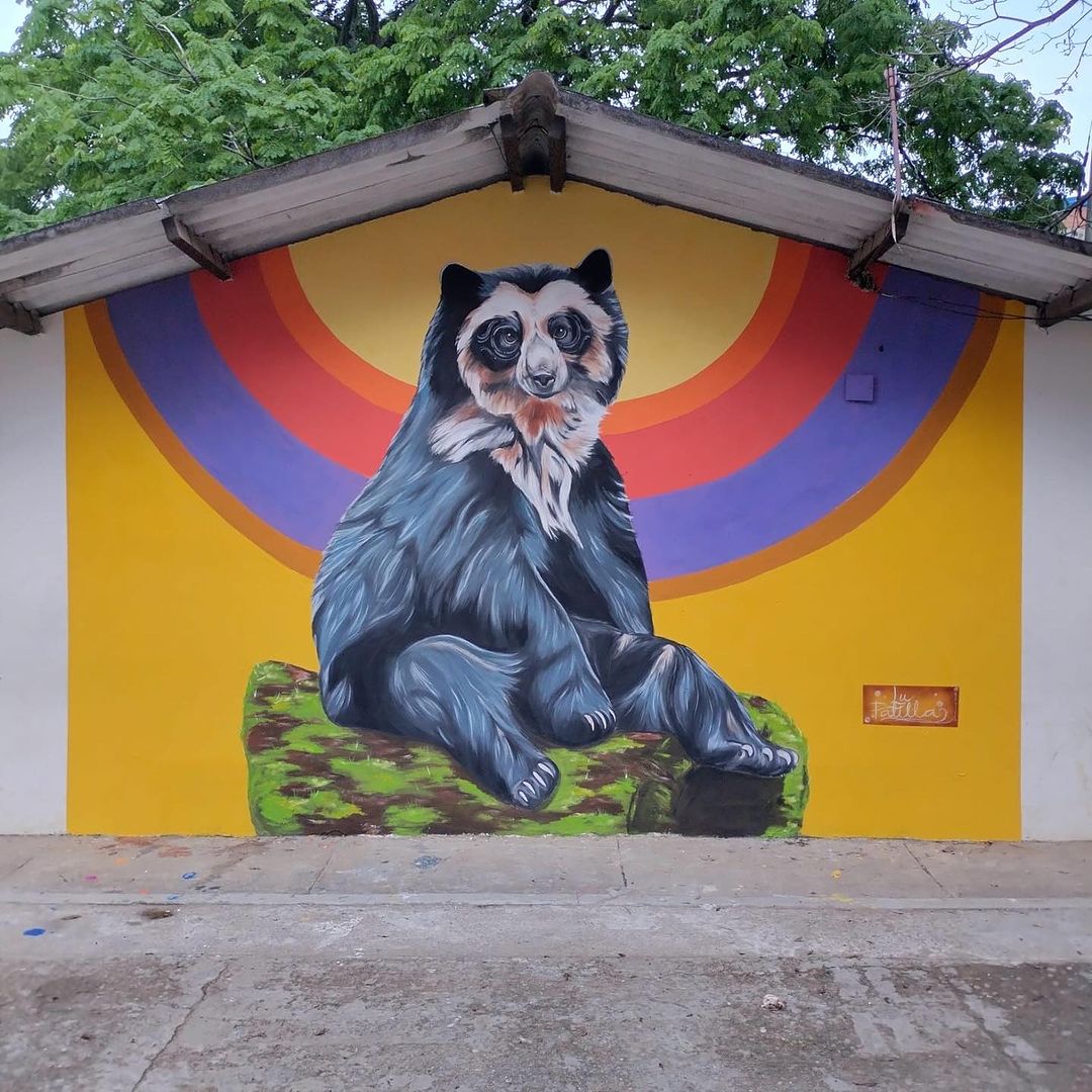 Lu Patiño @ El Salado, Tolima, Colombia