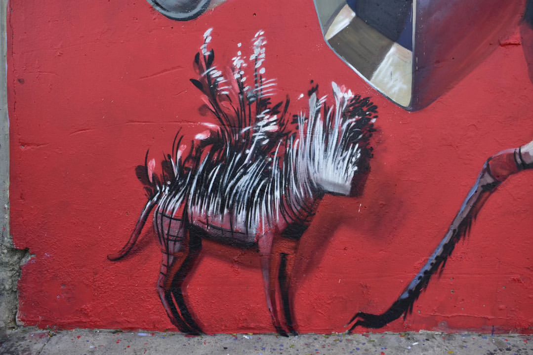 Omar Alonso @ Barranquilla, Colombia