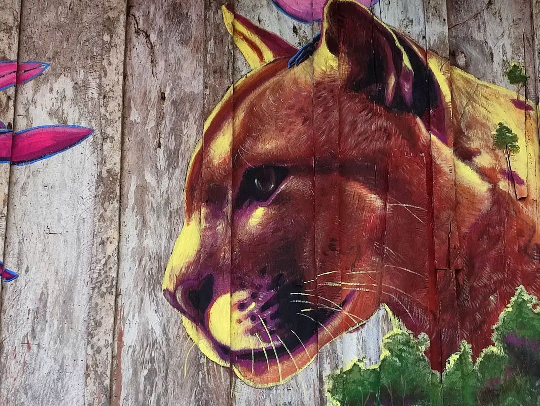 Pilitos @ Piamonte, Colombia