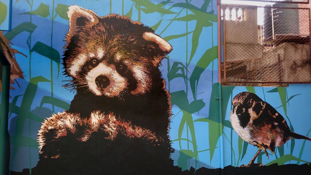 Pipsqueak was here @ Kathmandu, Nepal