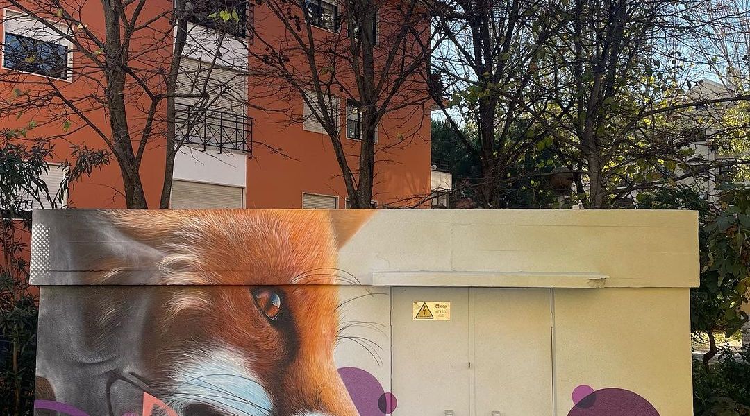 Smile @ Paredes, Portugal