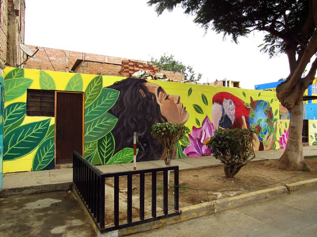 GOS + HANIC @ Bellavista, Peru