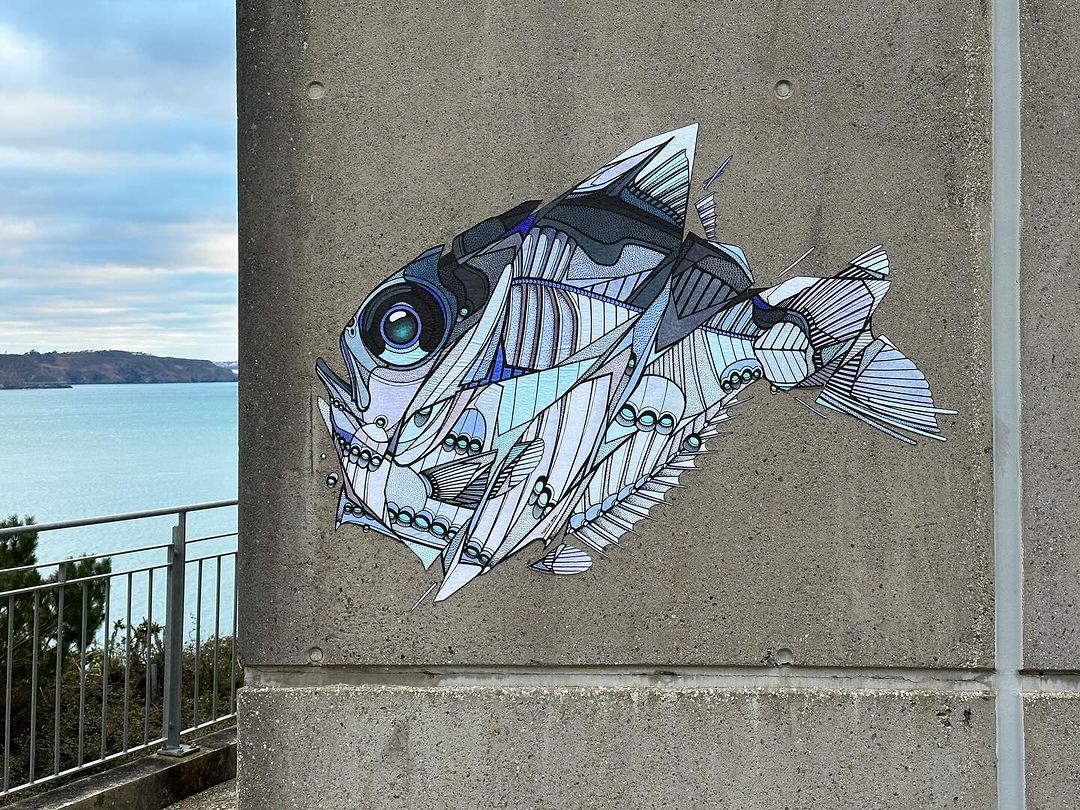 Teuthis @ Plouzané, France