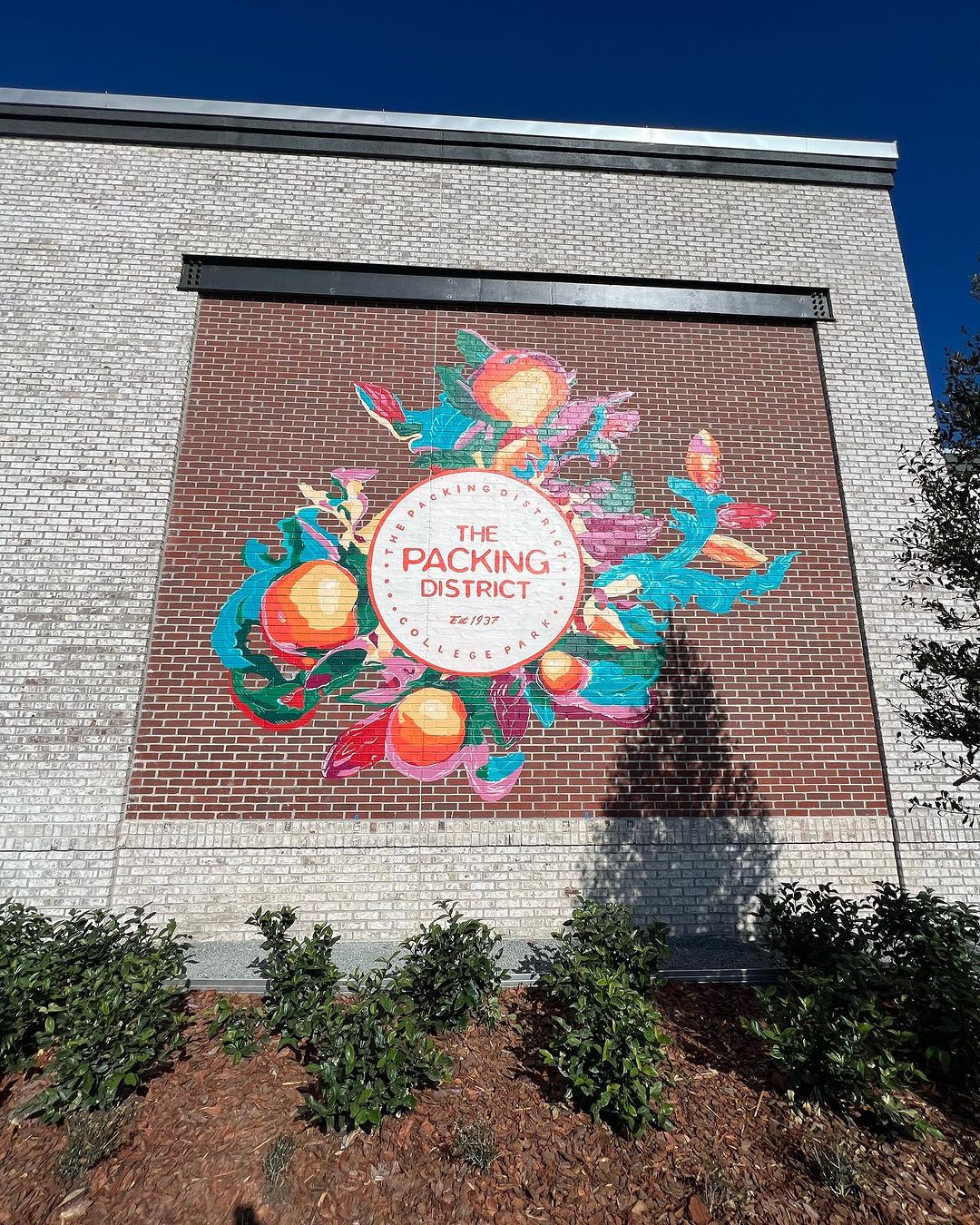 Christian Stanley @ Orlando, Florida, USA