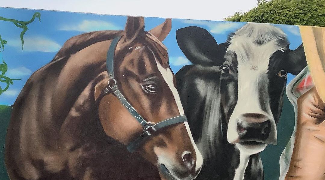 Cok O‘conner @ Trehuaco, Chile