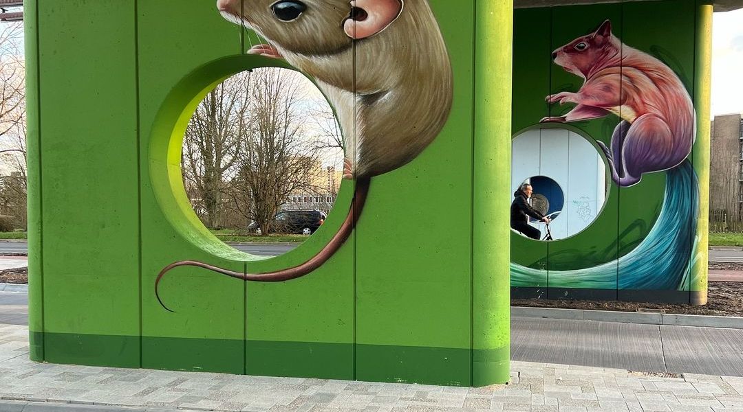 Dopie @ Arnhem, Netherlands