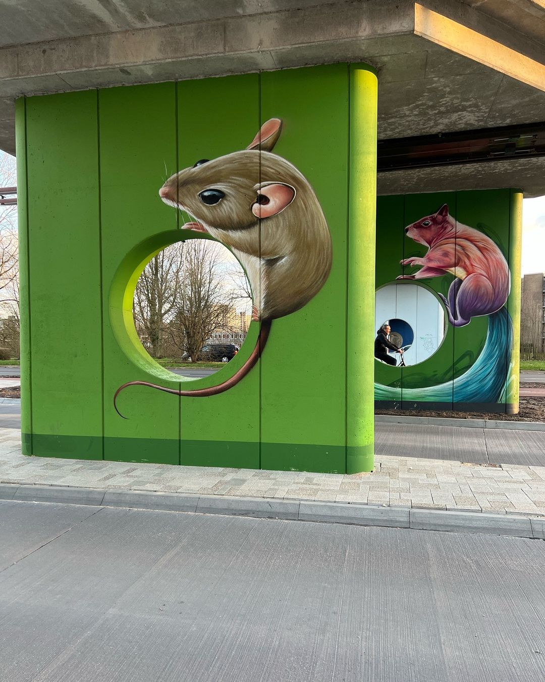 Dopie @ Arnhem, Netherlands