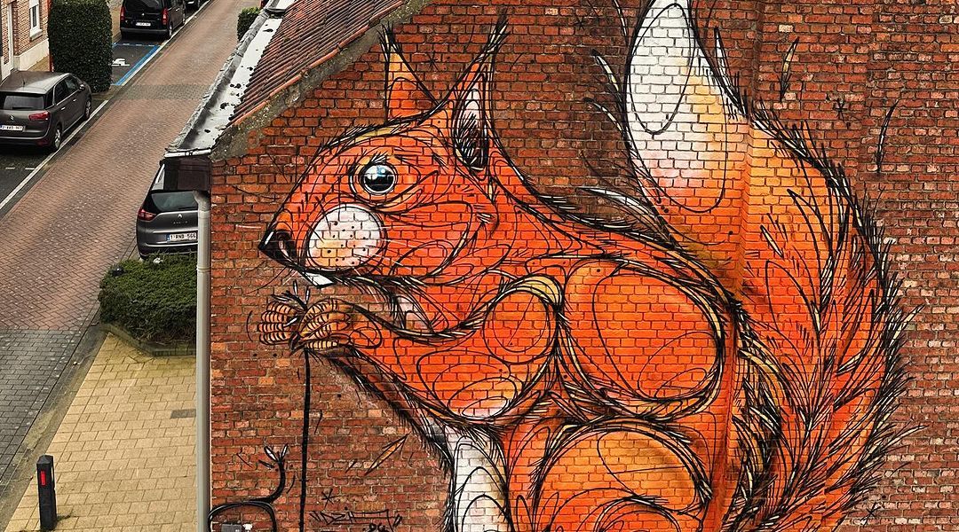 Dzia @ Sint-Katelijne-Waver, Belgium