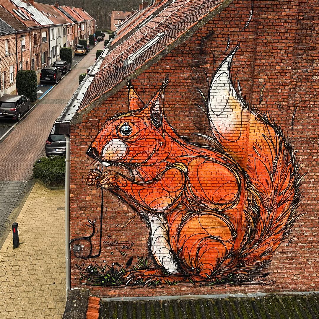 Dzia @ Sint-Katelijne-Waver, Belgium