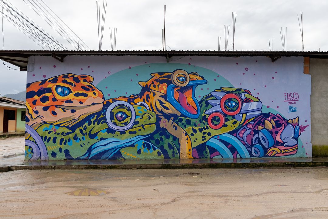 FIASCO @ Moyobamba, Peru